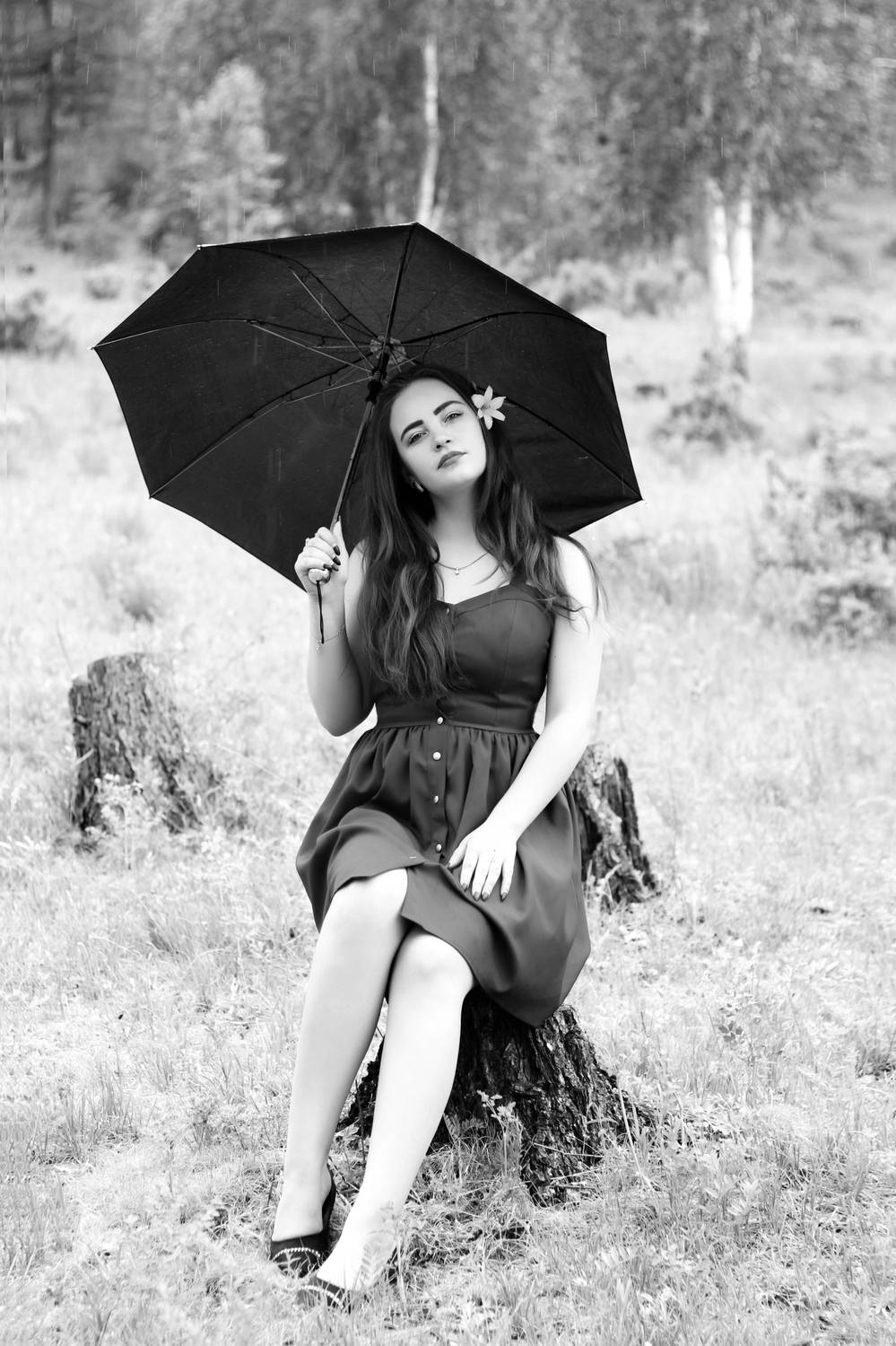 Фотография #12309452