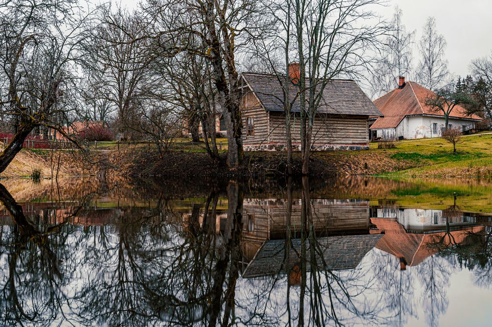 Photograph by Алена Устинович