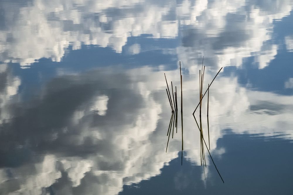 Photograph by Владимир Штыриков