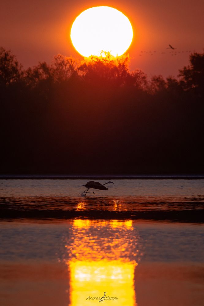 Sun down