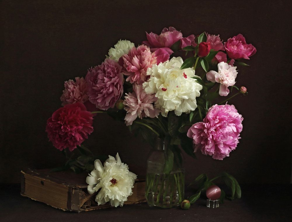 Фотография автора ТАТЬЯНА ЗАХАРОВА