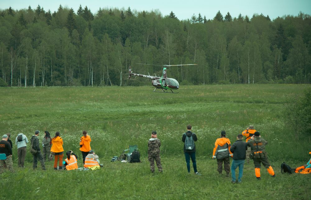 Photograph by АНАСТАСИЯ ЛЕВИНА