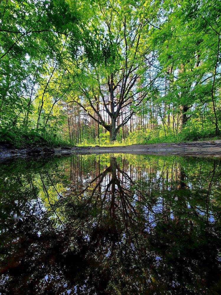 Photograph by Егор Жук