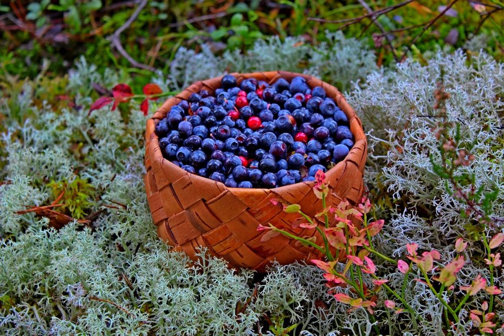 Photograph by Юлия Иванова