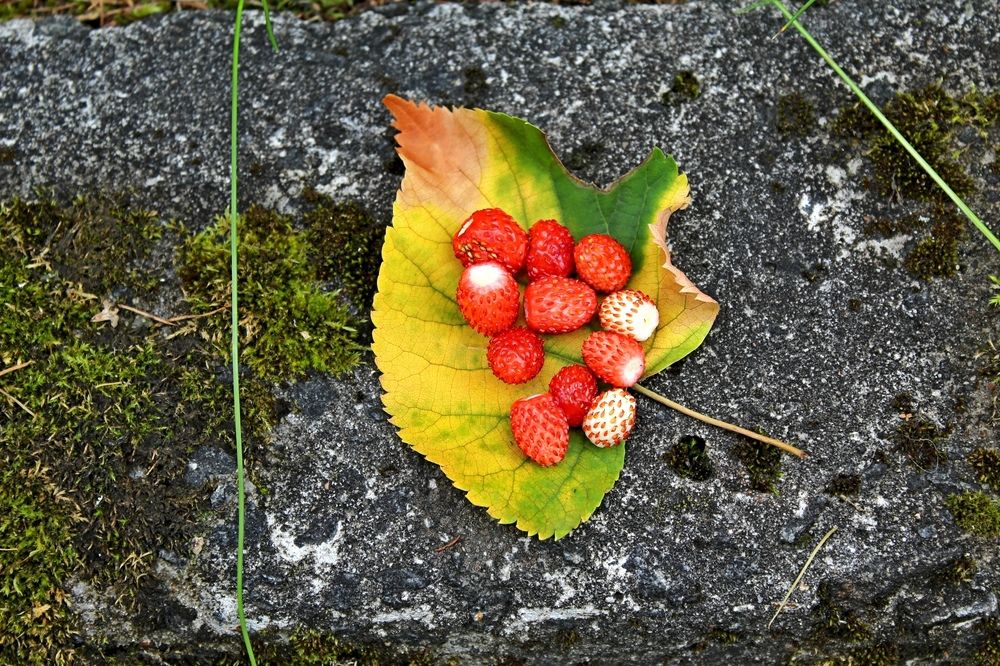 Photograph by Юлия Иванова