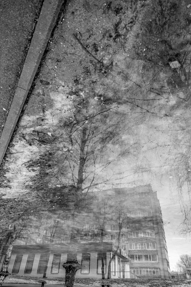 Photograph by Sergey Kalinin