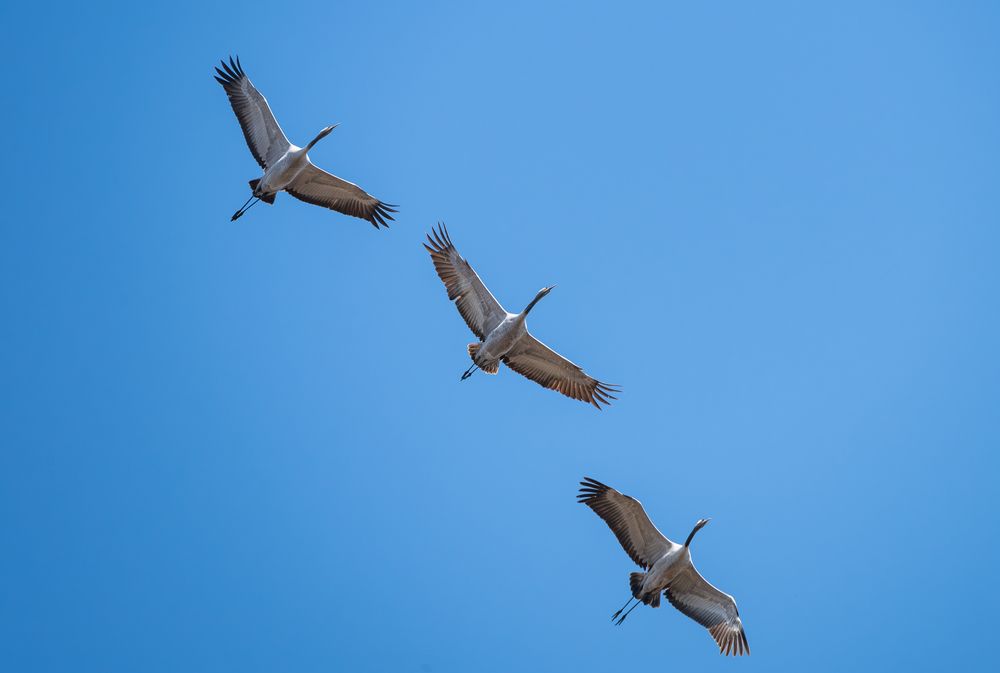 Photograph by Альварис Сукманюк