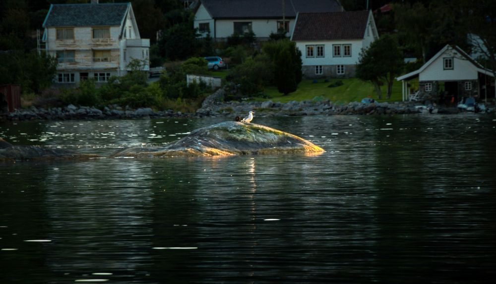 Photograph by Вячеслав Лычков