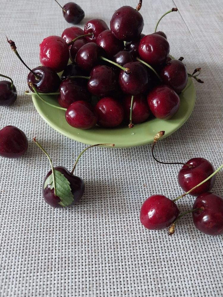 Photograph by Людмила Липаткина