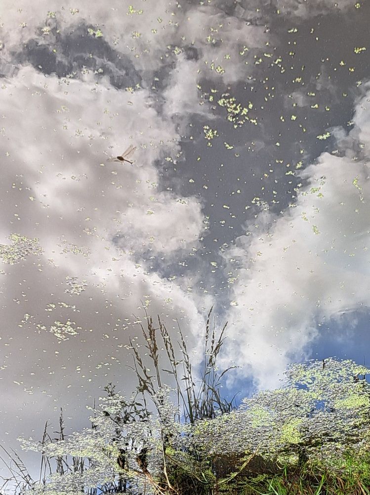 Photograph by Любовь Войтишина