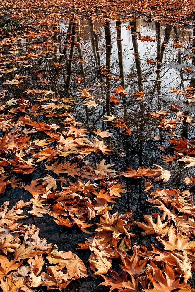 Photograph by Reyhane ajorloo