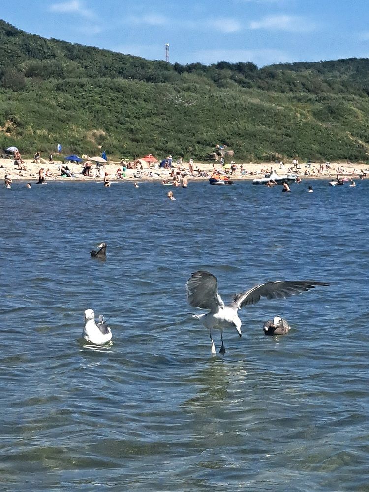 Photograph by Любовь Войтишина