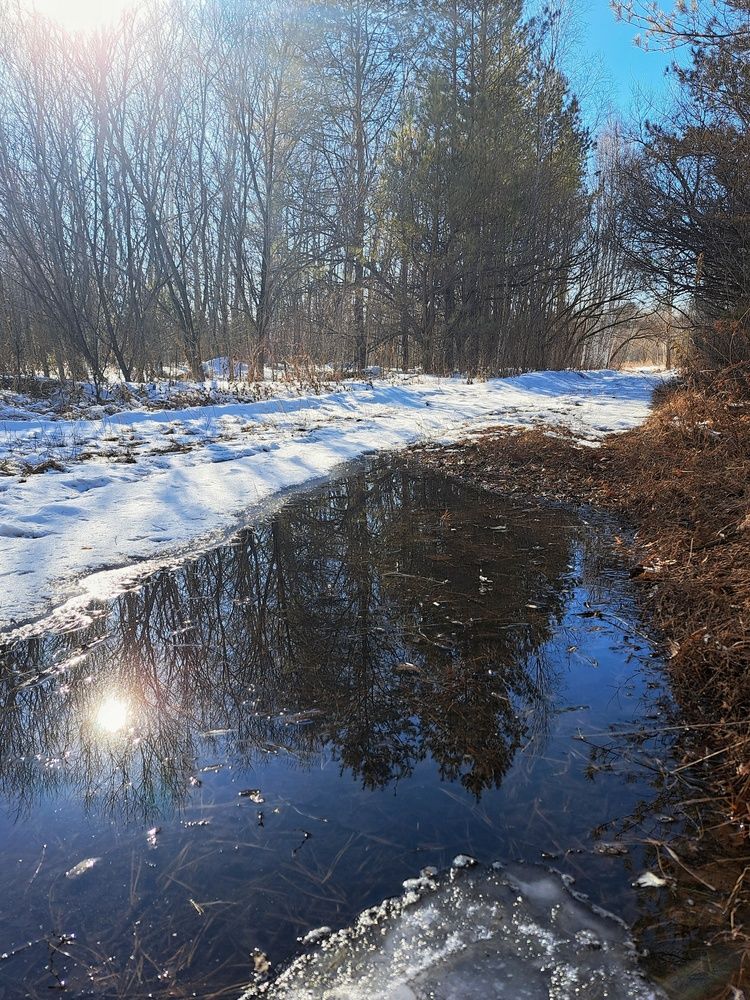 Photograph by Любовь Войтишина