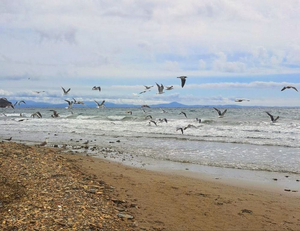 Photograph by Любовь Войтишина