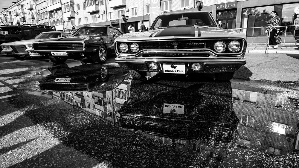 Photograph by Сенченко Андрей