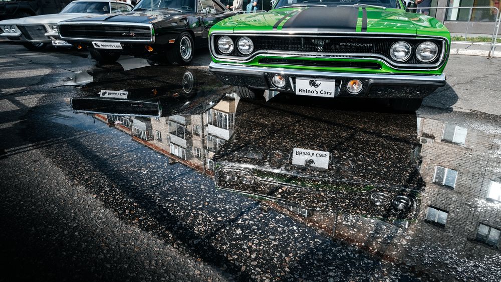 Photograph by Сенченко Андрей