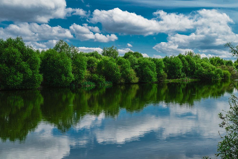 Photograph by Ольга Моисеева