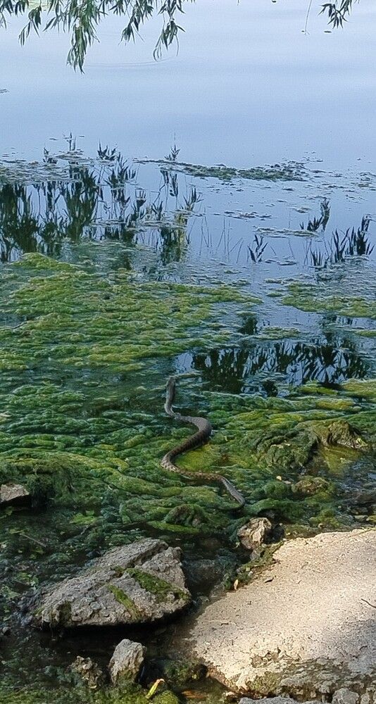 Photograph by Анна Лагун