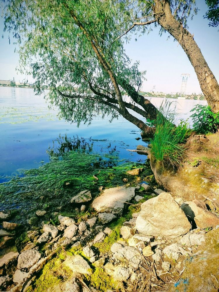 Photograph by Анна Лагун