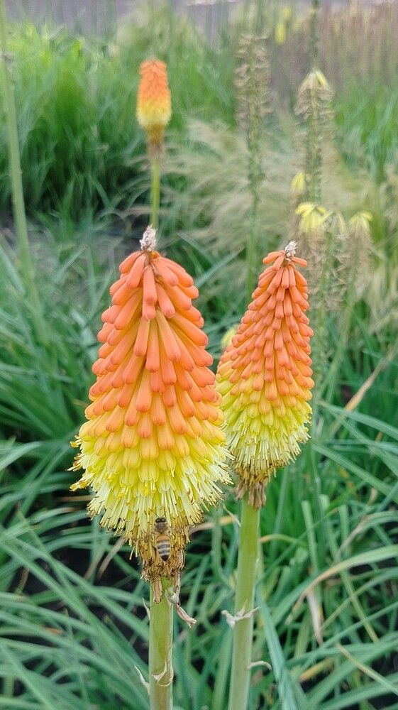 Photograph by Анна Лагун