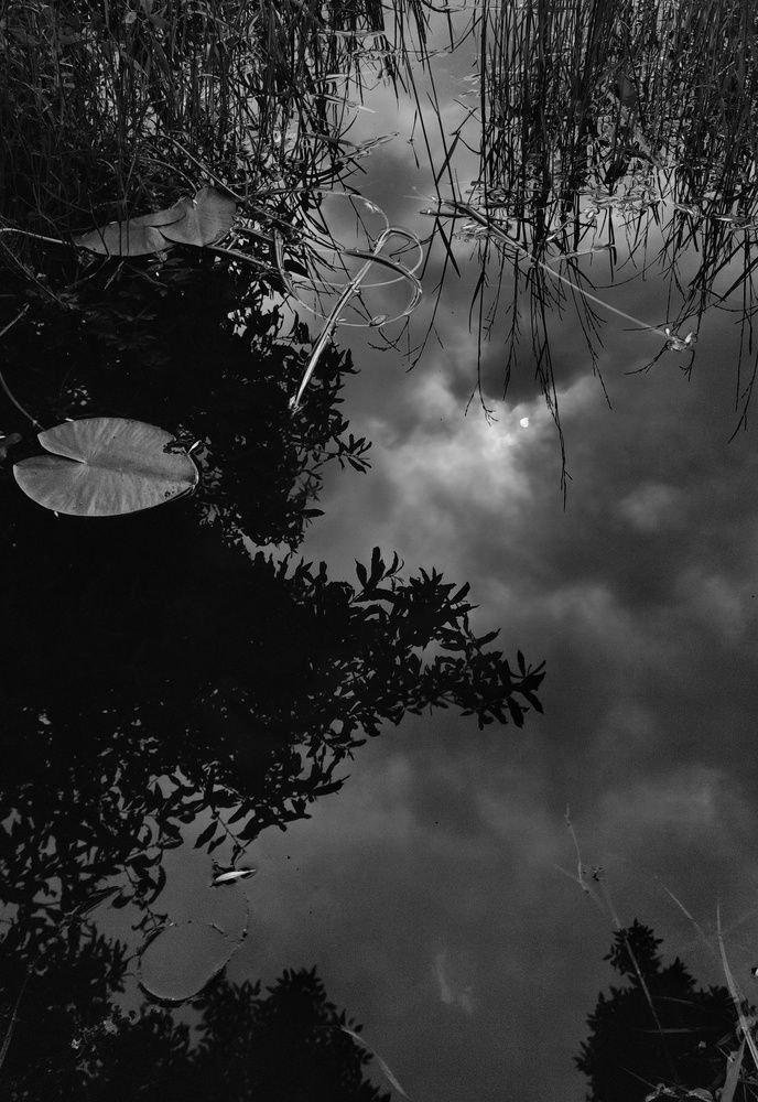 Photograph by Калюнова Наталья