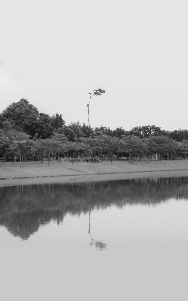 Photograph by Wen Ling Loh