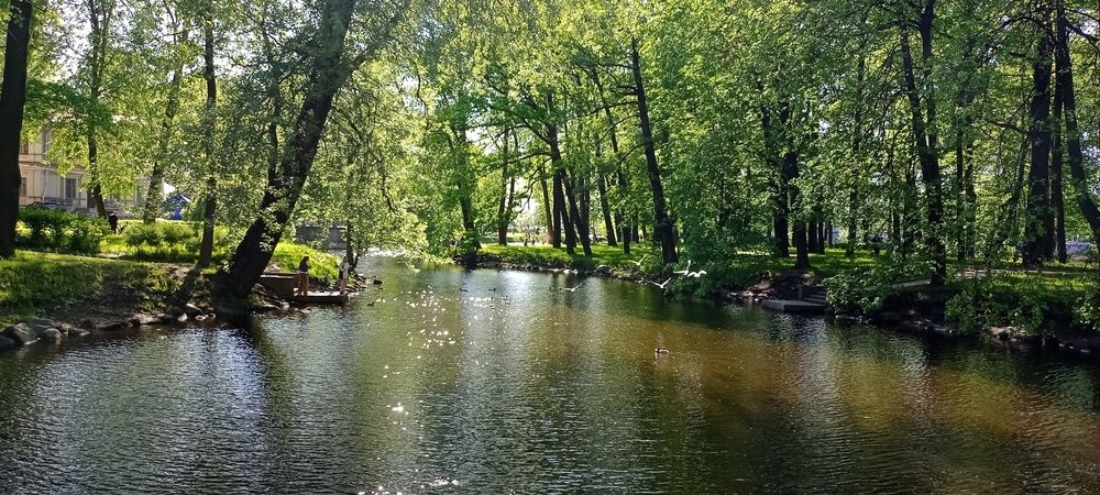 Фотография автора Людмила Викулова