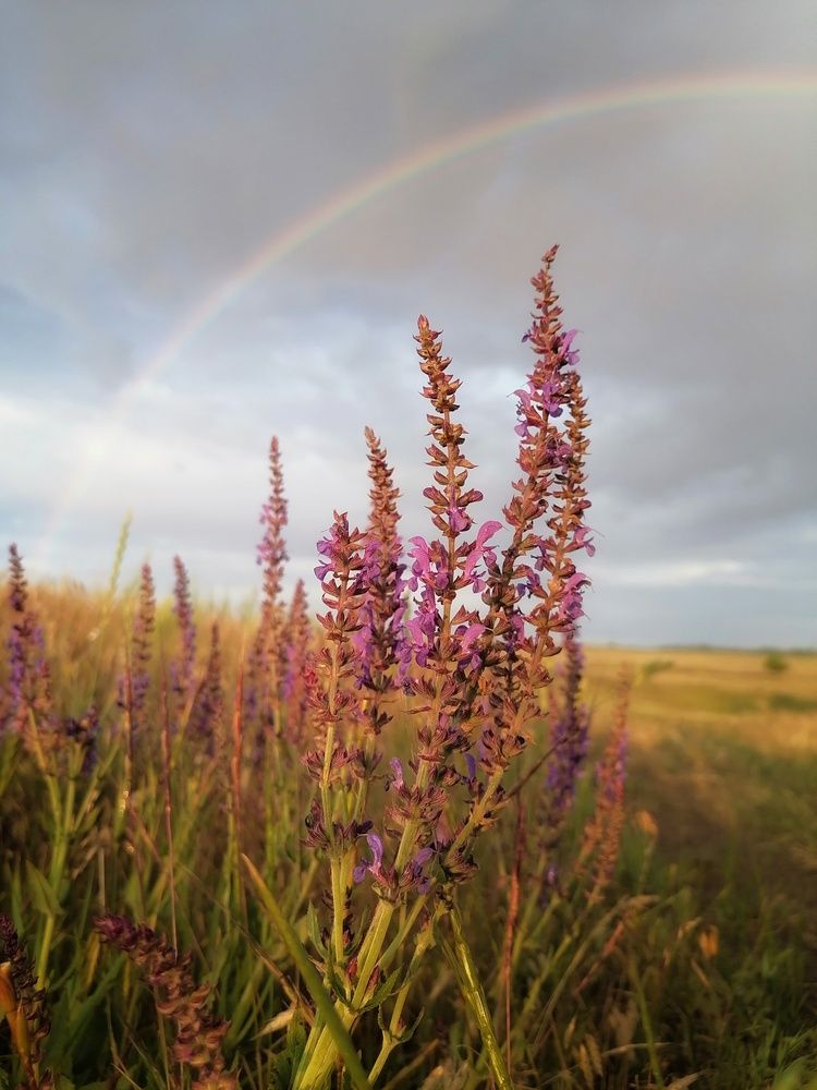 Photograph by Анжелика
