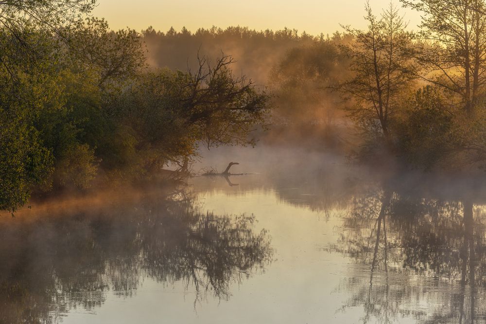 Photograph by Leanid Kulpo