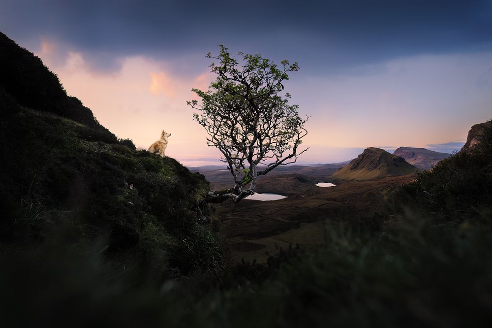 Photograph by Audrey Bellot