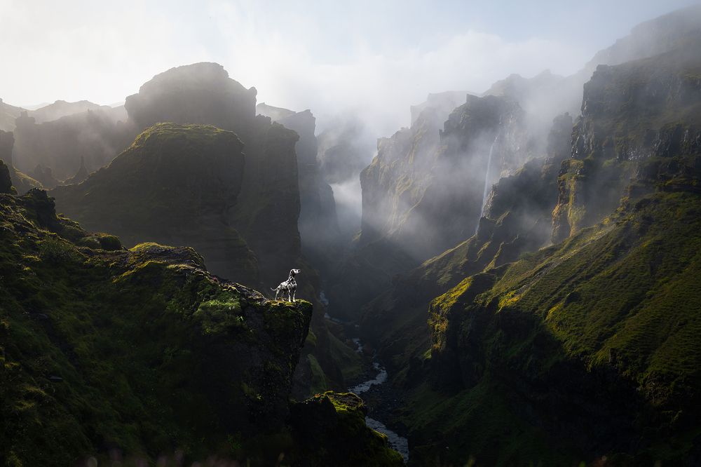 Photograph by Audrey Bellot