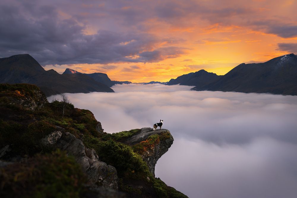 Photograph by Audrey Bellot