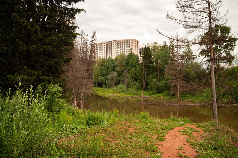 Photograph by Михаил Костыря