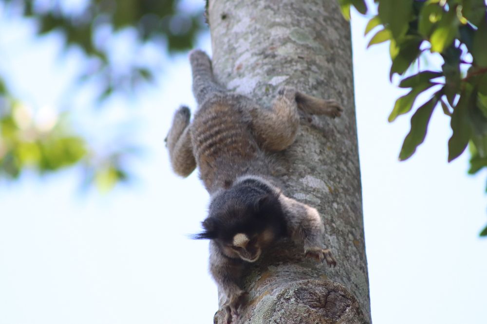 Photograph by Juliana