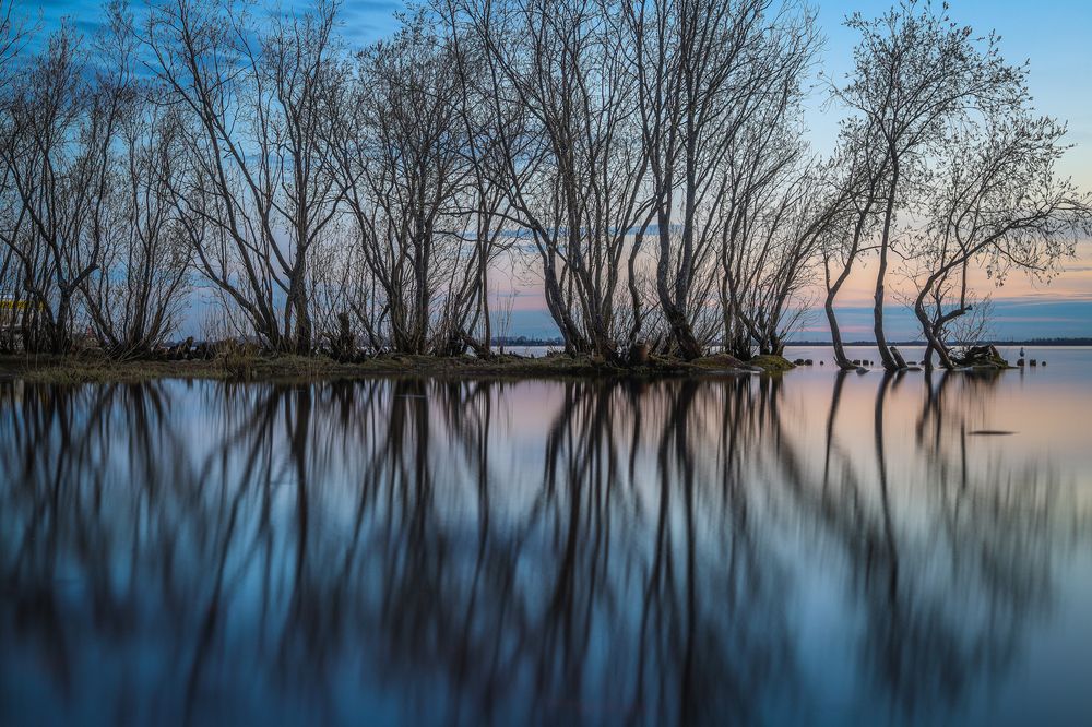 Photograph by Юлия Крюкова