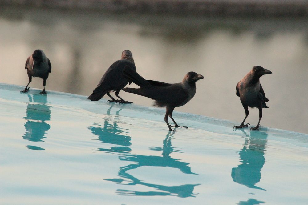 Photograph by Екатерина Александровна