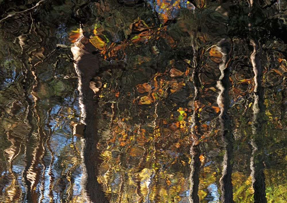 Фотография автора ТАТЬЯНА ЗАХАРОВА