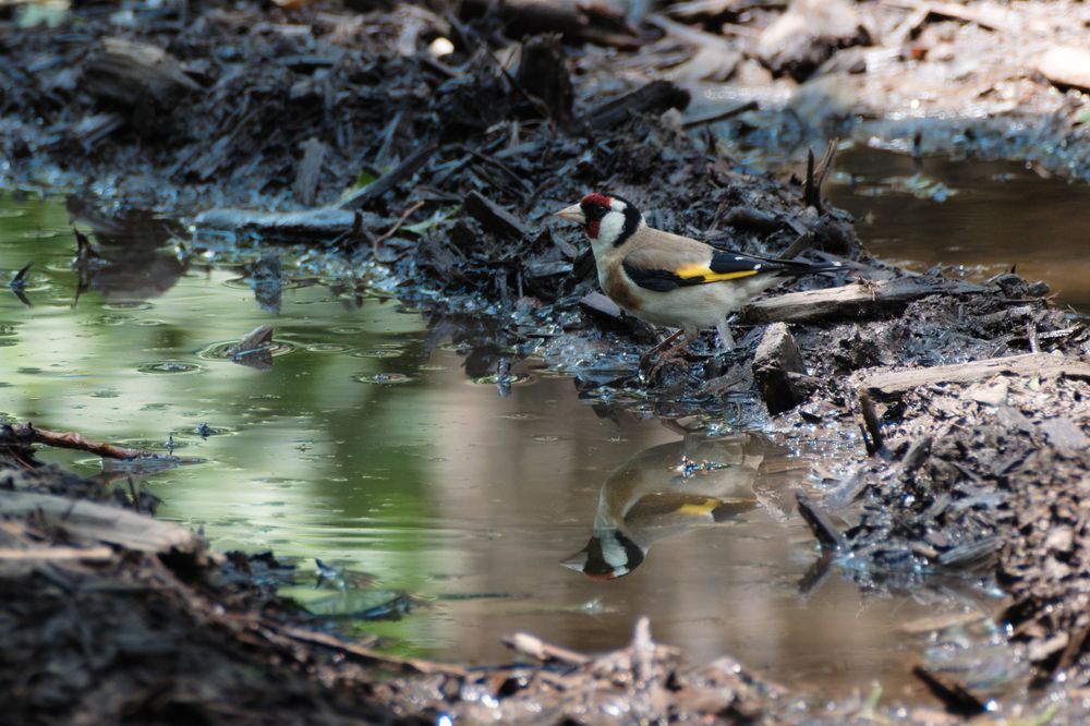 Photograph by Anastasia