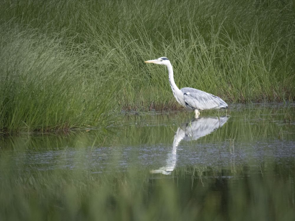 Photograph by Ignatov Yury