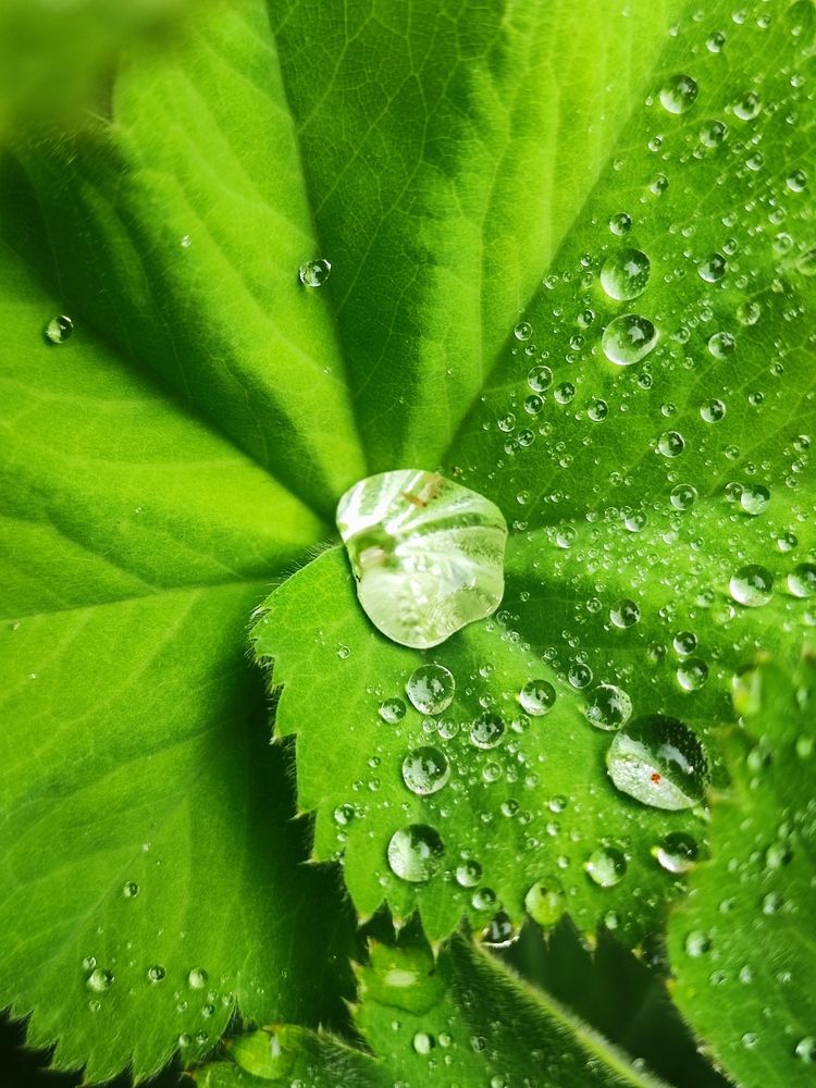 Photograph by Елена Шоколенко