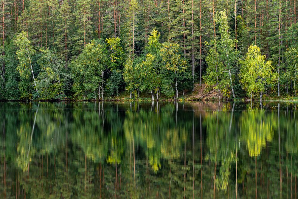 Photograph by Евгения Севрюкова