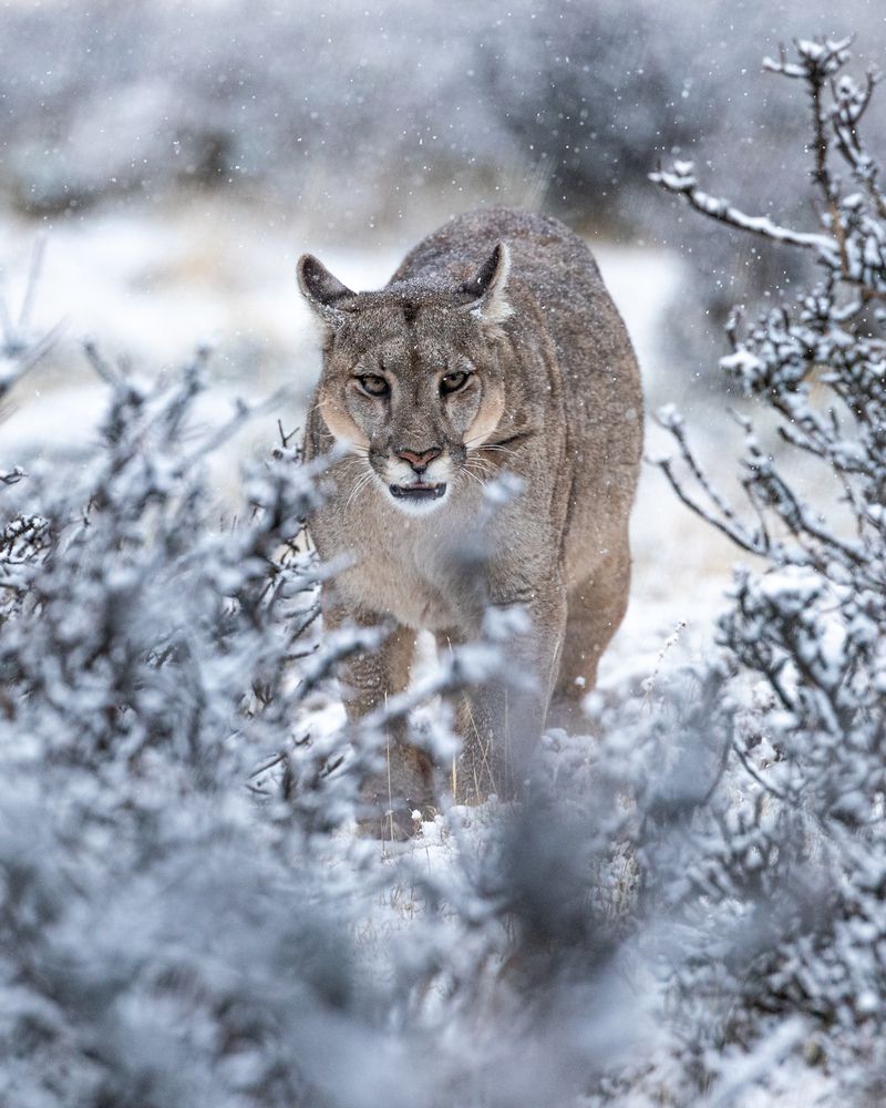 Photograph by Sebastian Olavarria