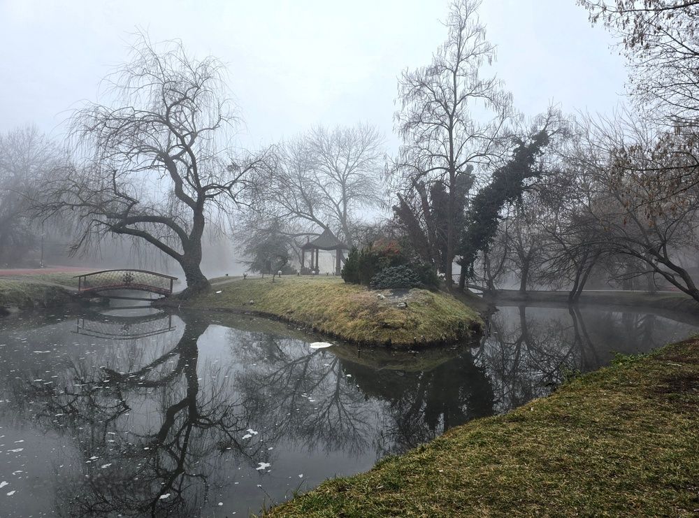 Photograph by Cornelia Ilie