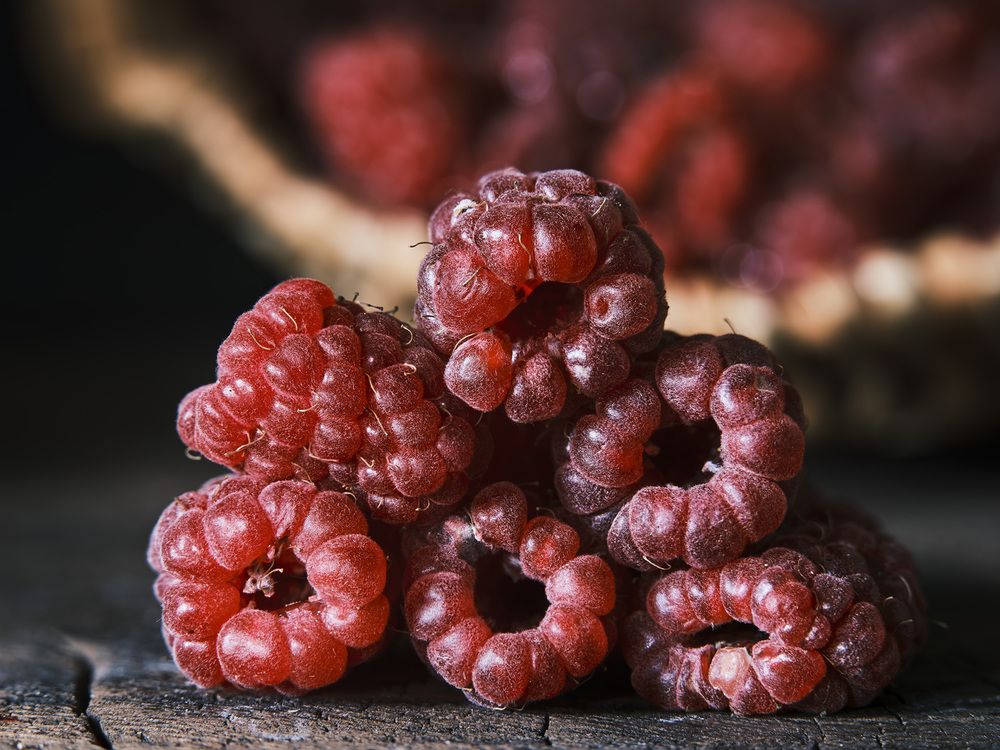 Photograph by Леонид Якутин