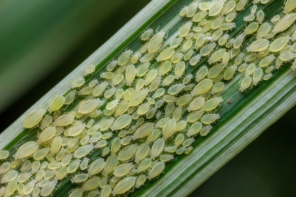 Фотография автора Евгения Севрюкова