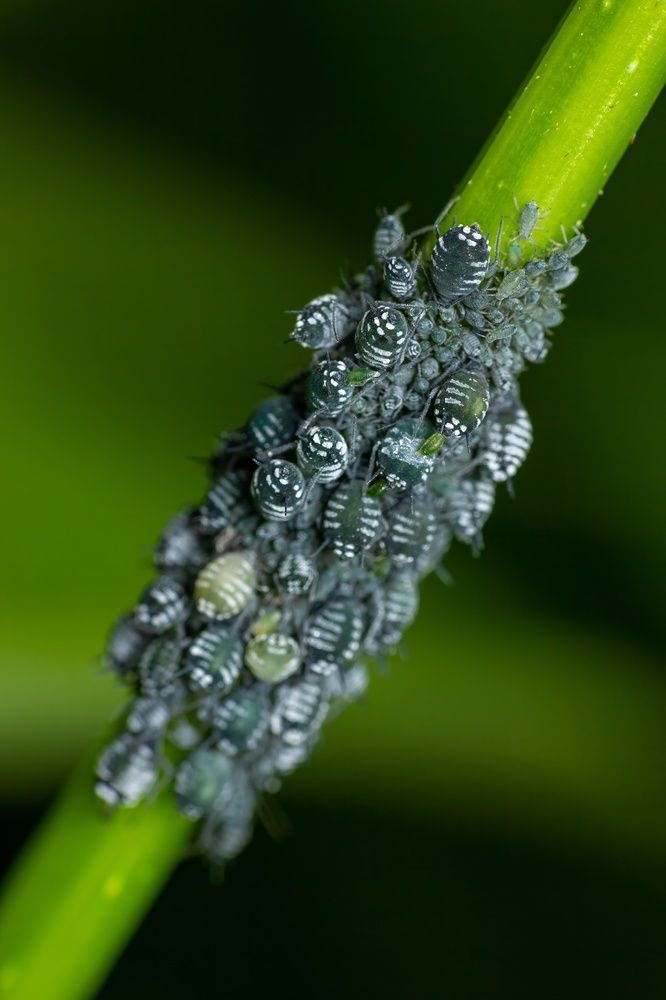 Фотография автора Евгения Севрюкова