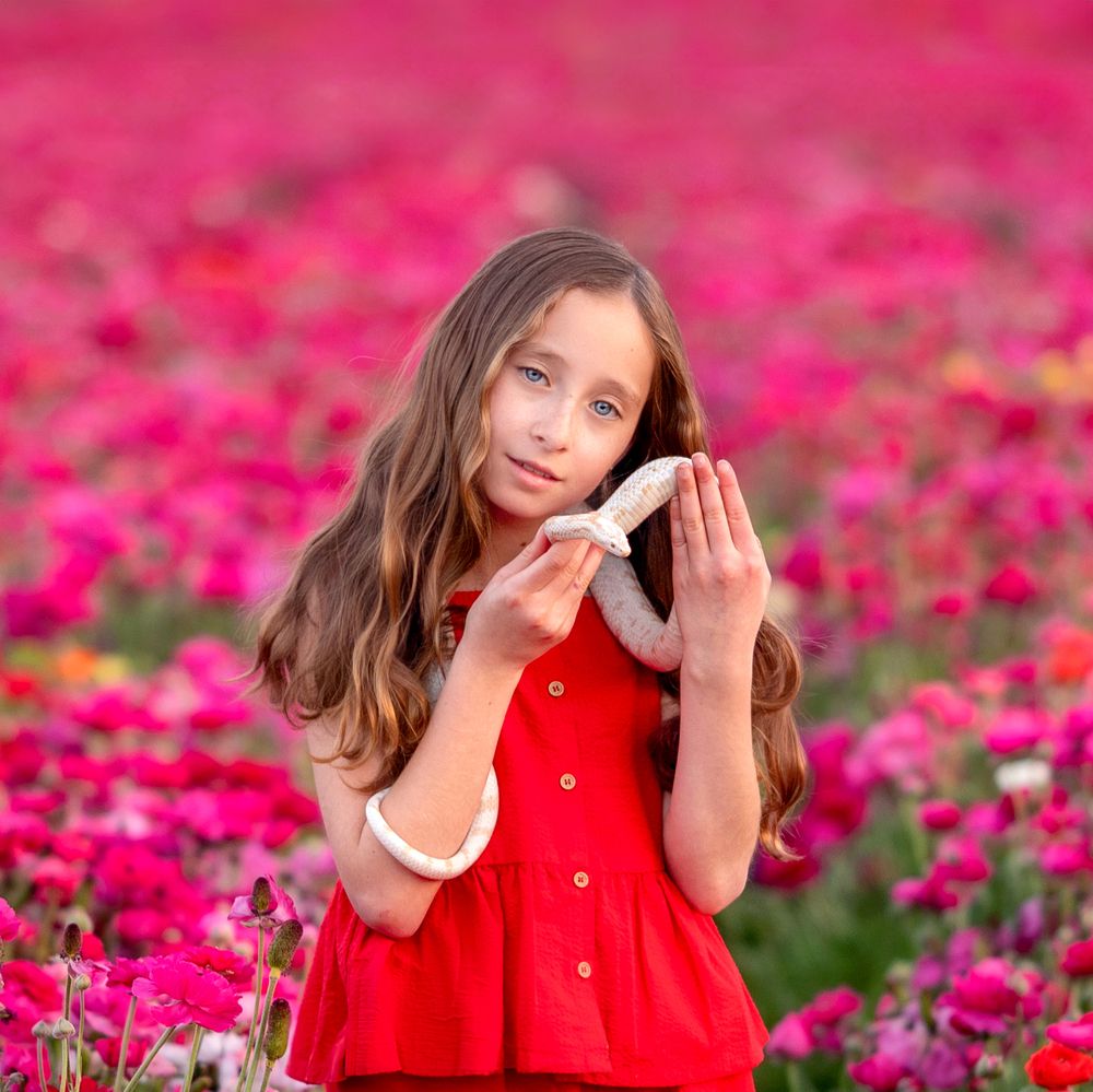 In a Field of Dreams