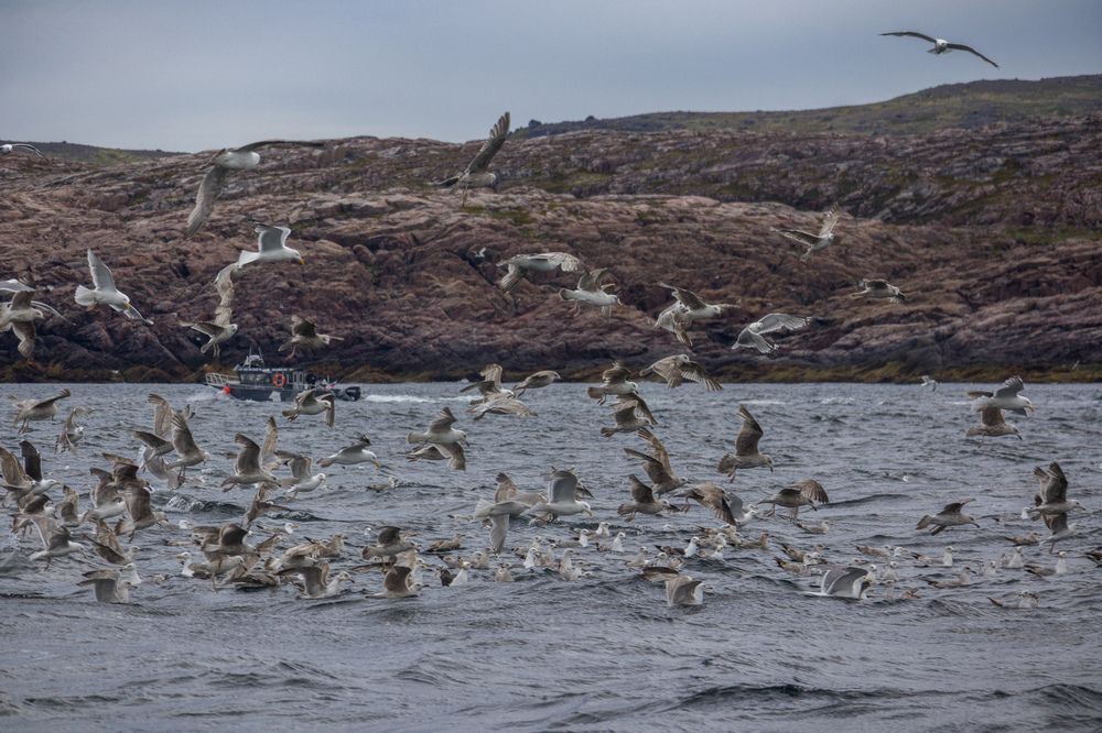 Photograph by Юлия Алексейчикова