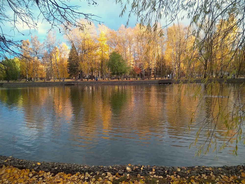 Photograph by Leyla Minnullina