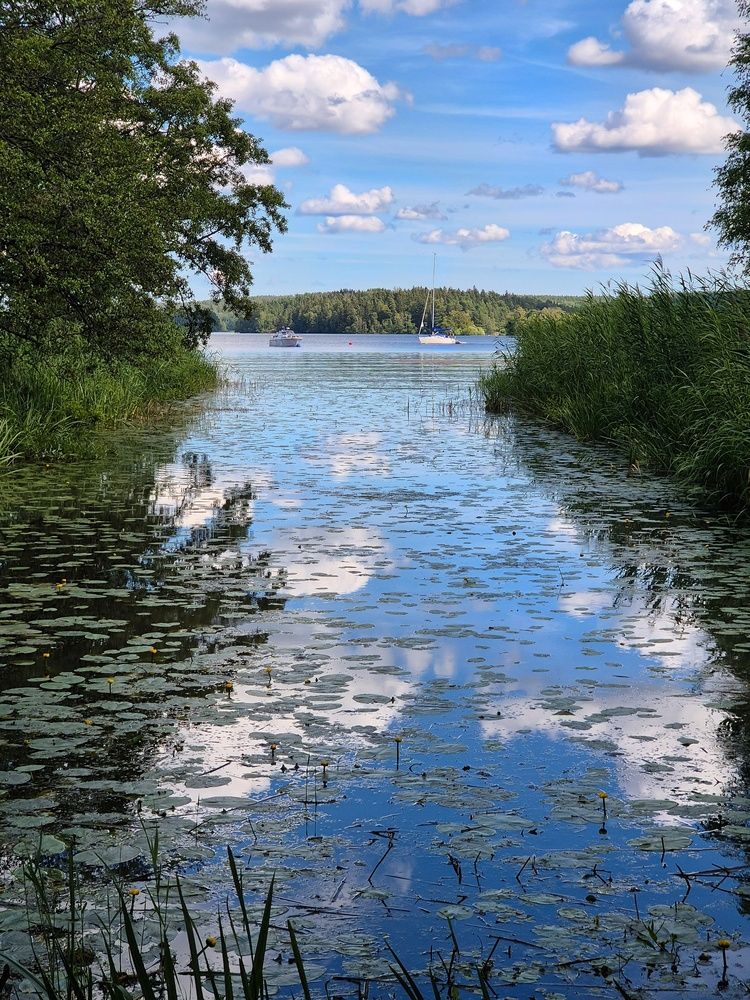 Фотография автора Татьяна Вирясова